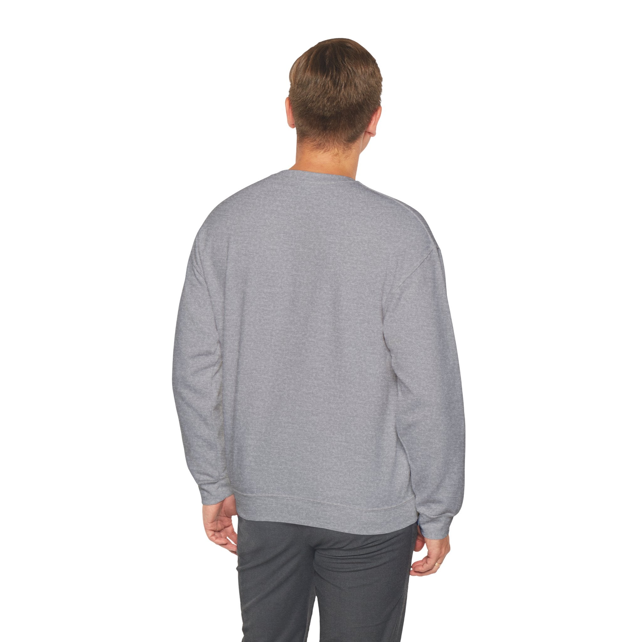 SABAS-Sports Car Sweatshirt — Vintage Racing Graphic Crewneck