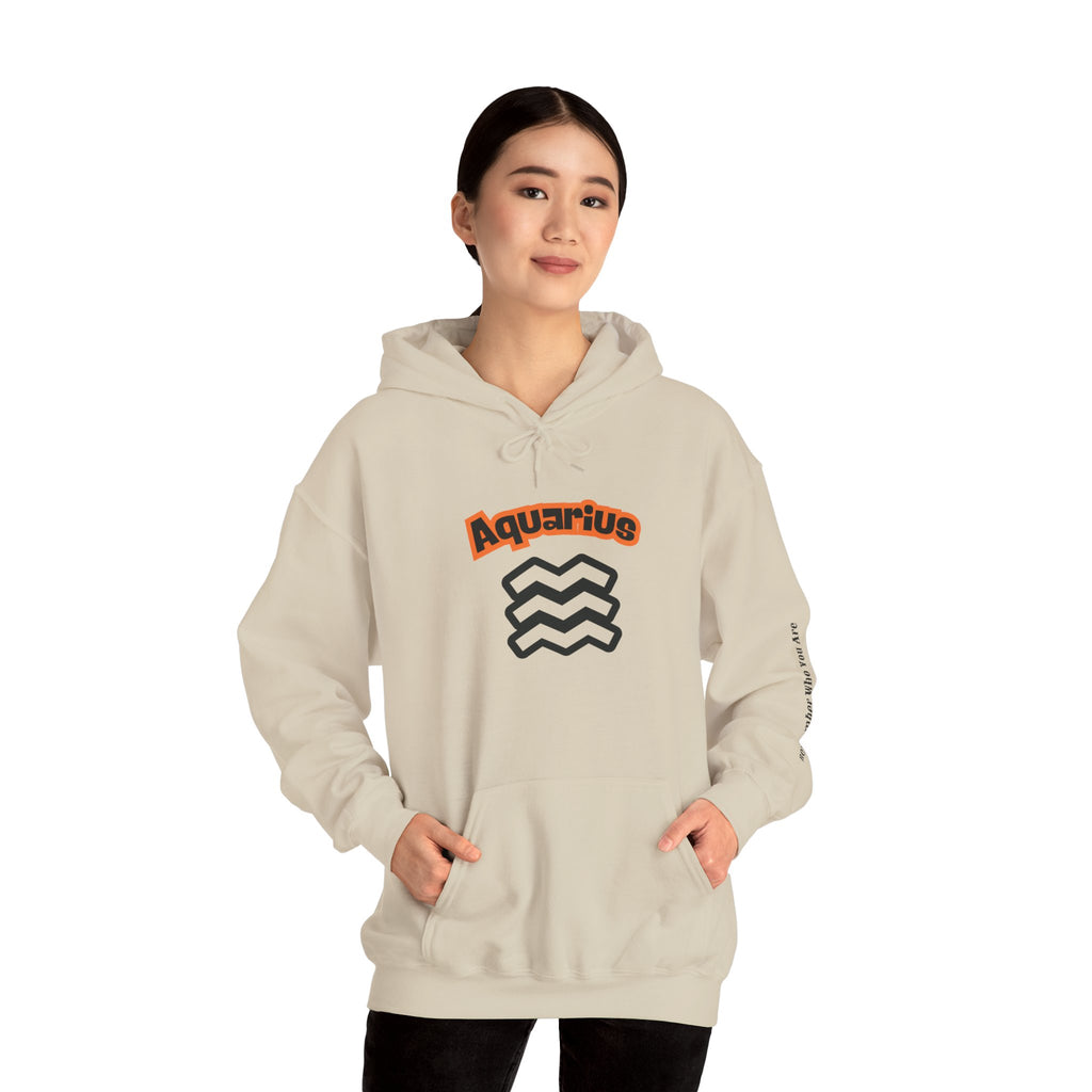 SABAS Aquarius Hoodie — Zodiac Graphic Hooded Sweatshirt Unisex