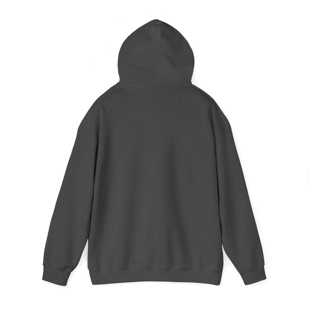 Speed Racers Hoodie — Vintage Sports Car Racing Graphic Sweatshirt