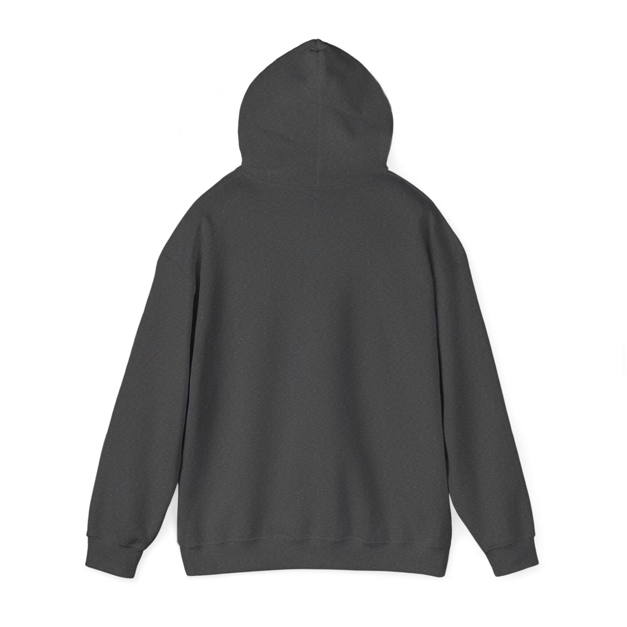Speed Racers Hoodie — Vintage Sports Car Racing Graphic Sweatshirt