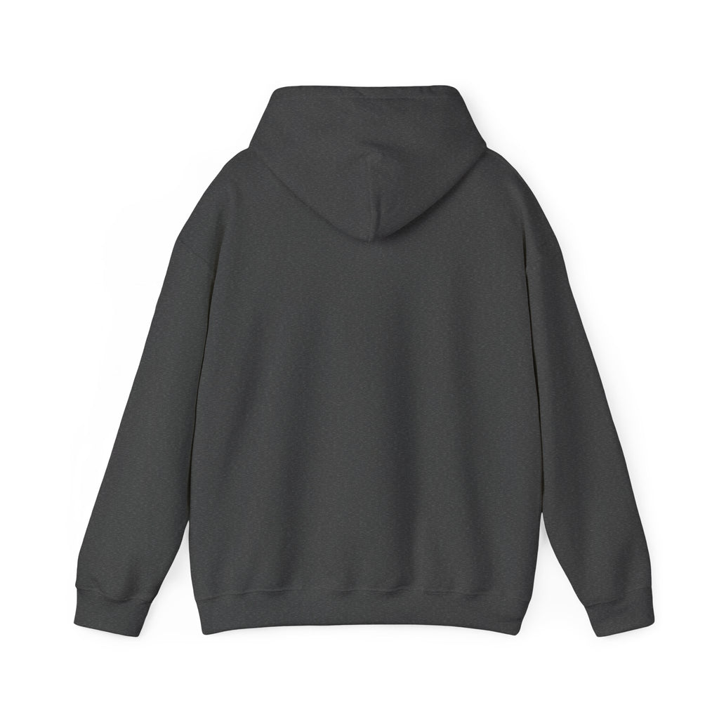 Speed Racers Hoodie — Vintage Sports Car Racing Graphic Sweatshirt