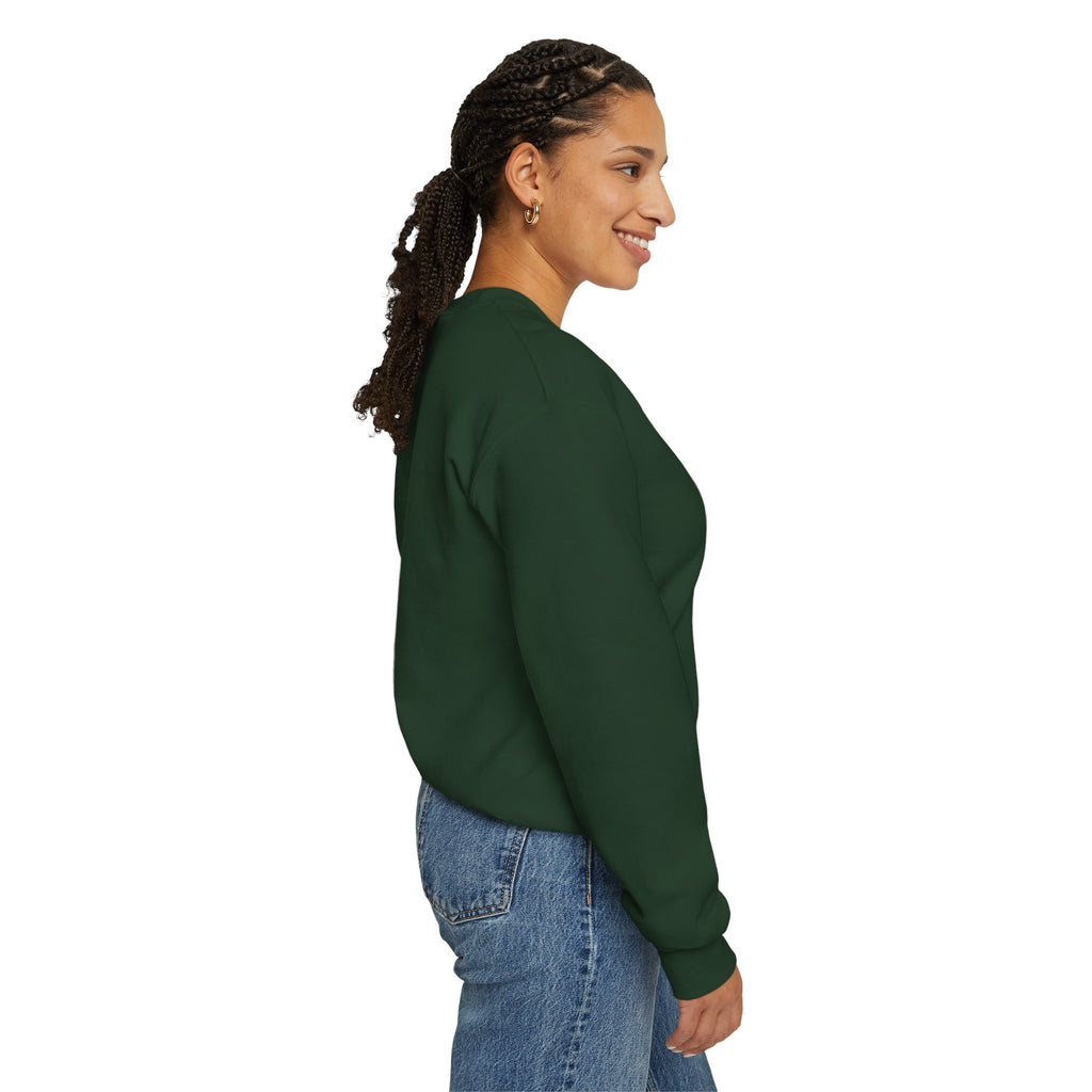SABAS-Toddler Two Years of Awesomeness Sweatshirt
