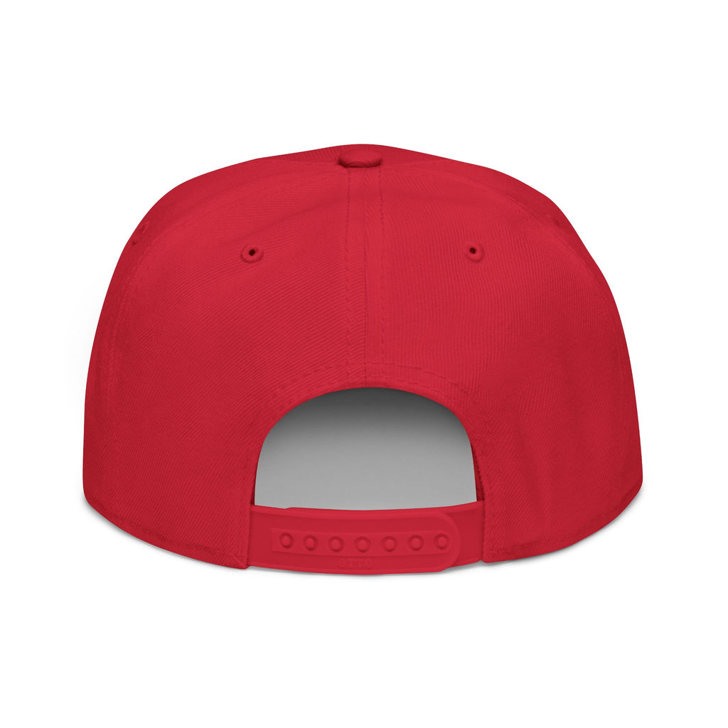 SABAS Embroidered Snapback Hat - Aquarius Zodiac Sign