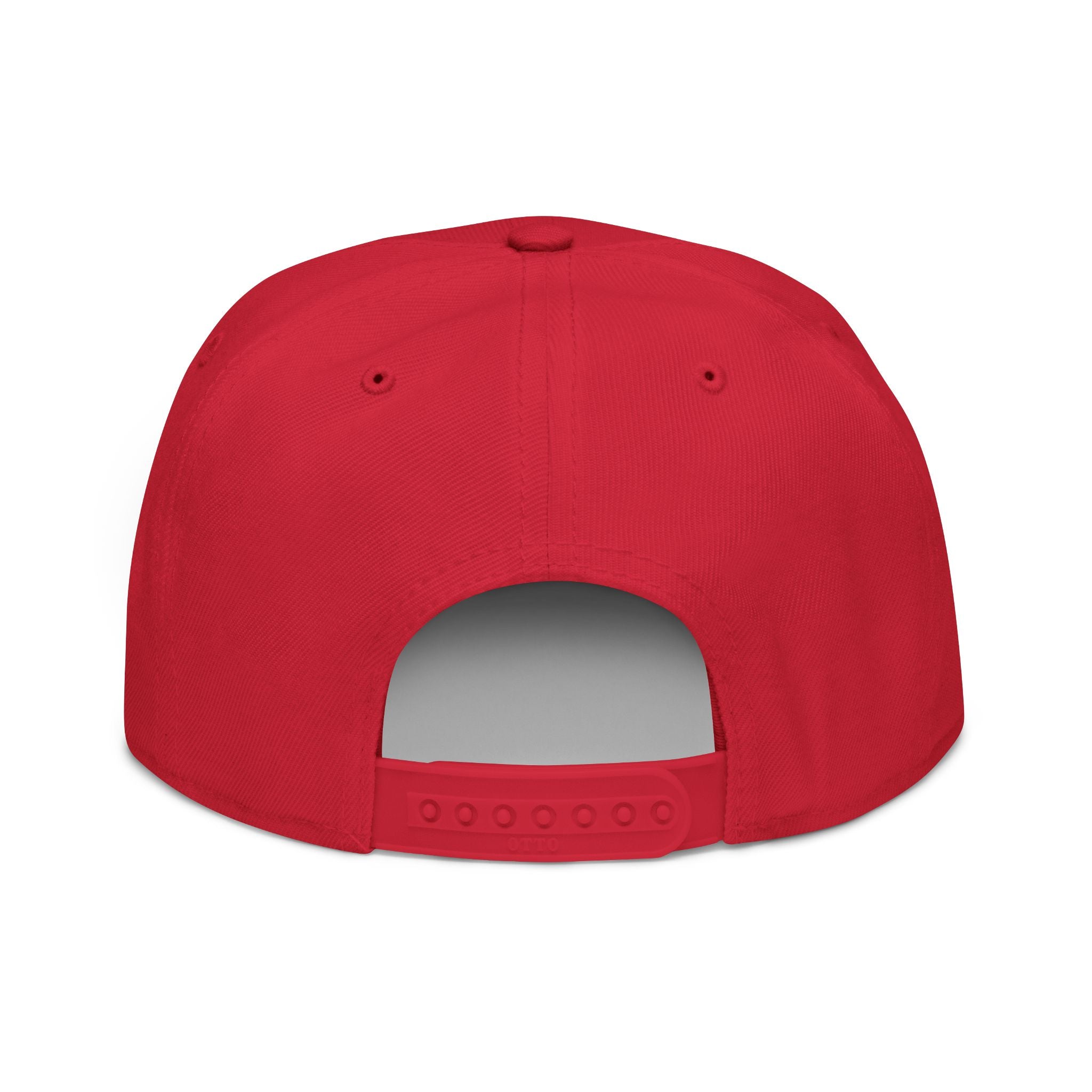 SABAS Embroidered Snapback Hat - Aquarius Zodiac Sign
