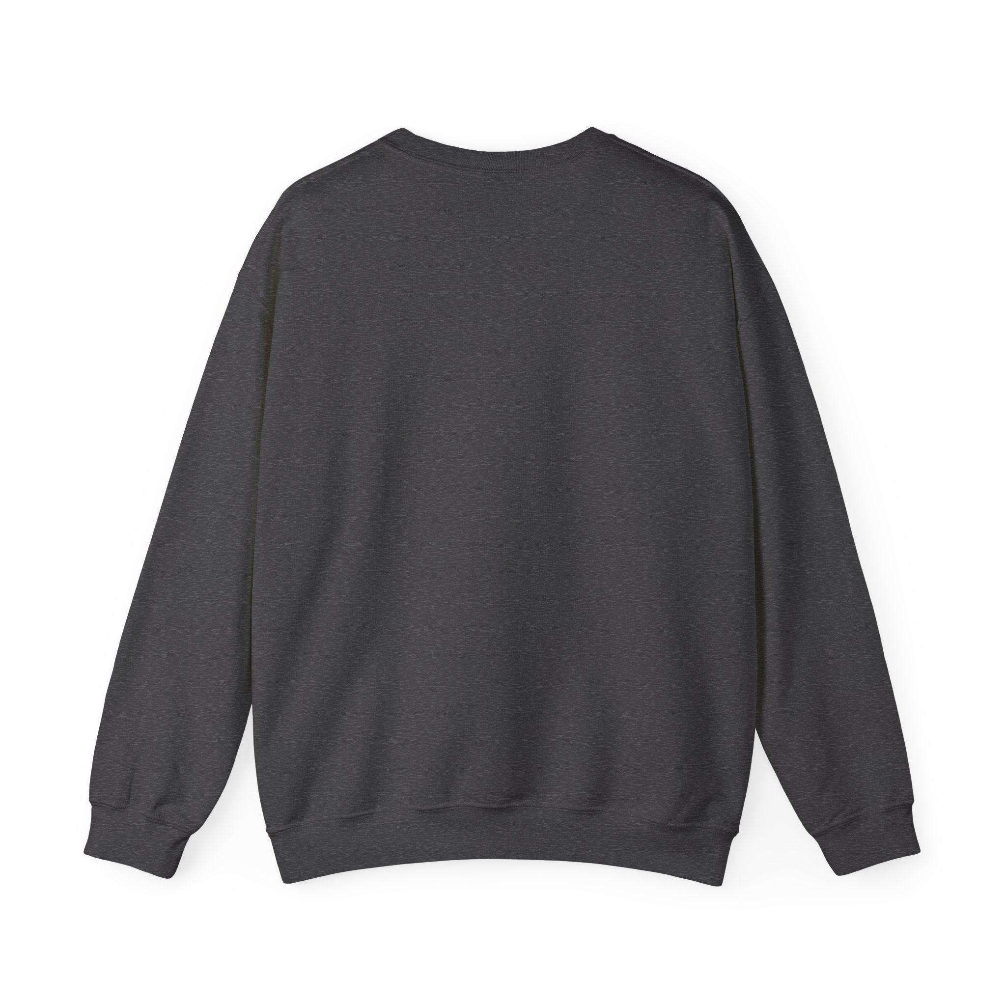 SABAS-Sports Car Sweatshirt — Vintage Racing Graphic Crewneck