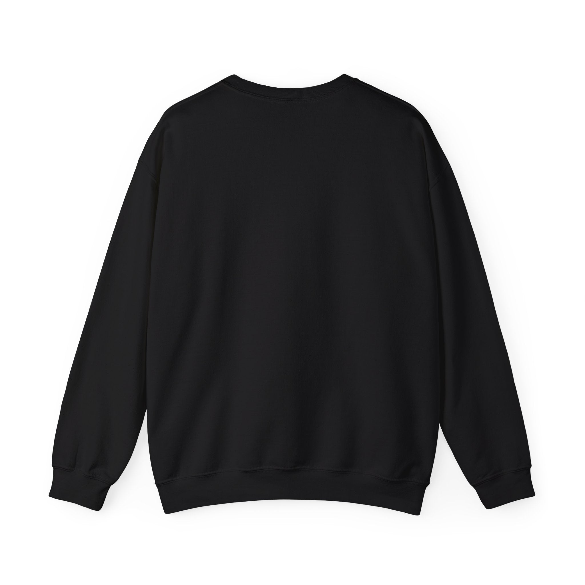 SABAS-Sports Car Sweatshirt — Vintage Racing Graphic Crewneck