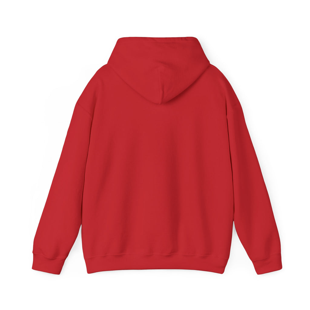 Speed Racers Hoodie — Vintage Sports Car Racing Graphic Sweatshirt
