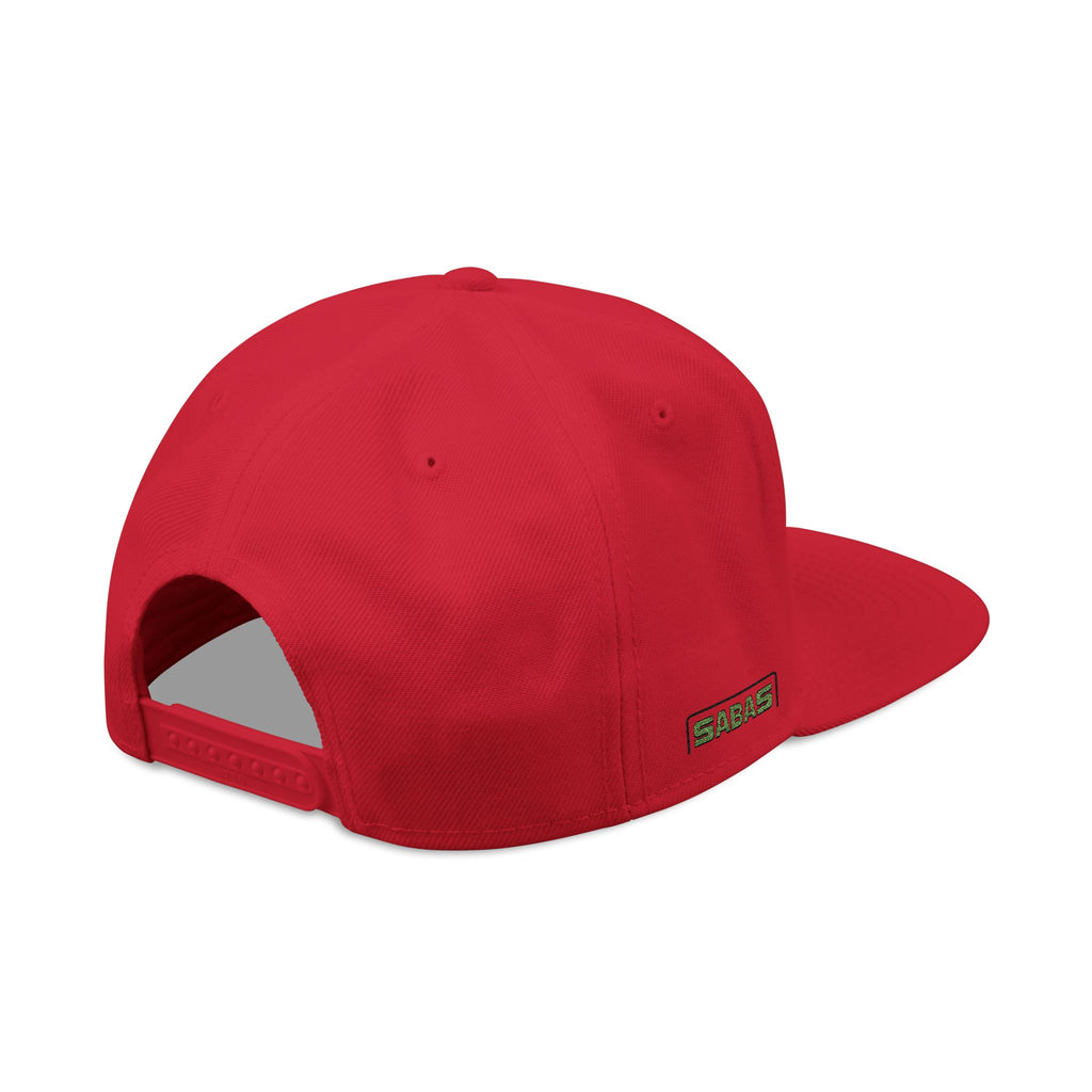 SABAS Embroidered Snapback Hat - Aquarius Zodiac Sign
