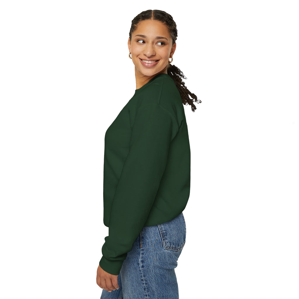 SABAS-Toddler Two Years of Awesomeness Sweatshirt
