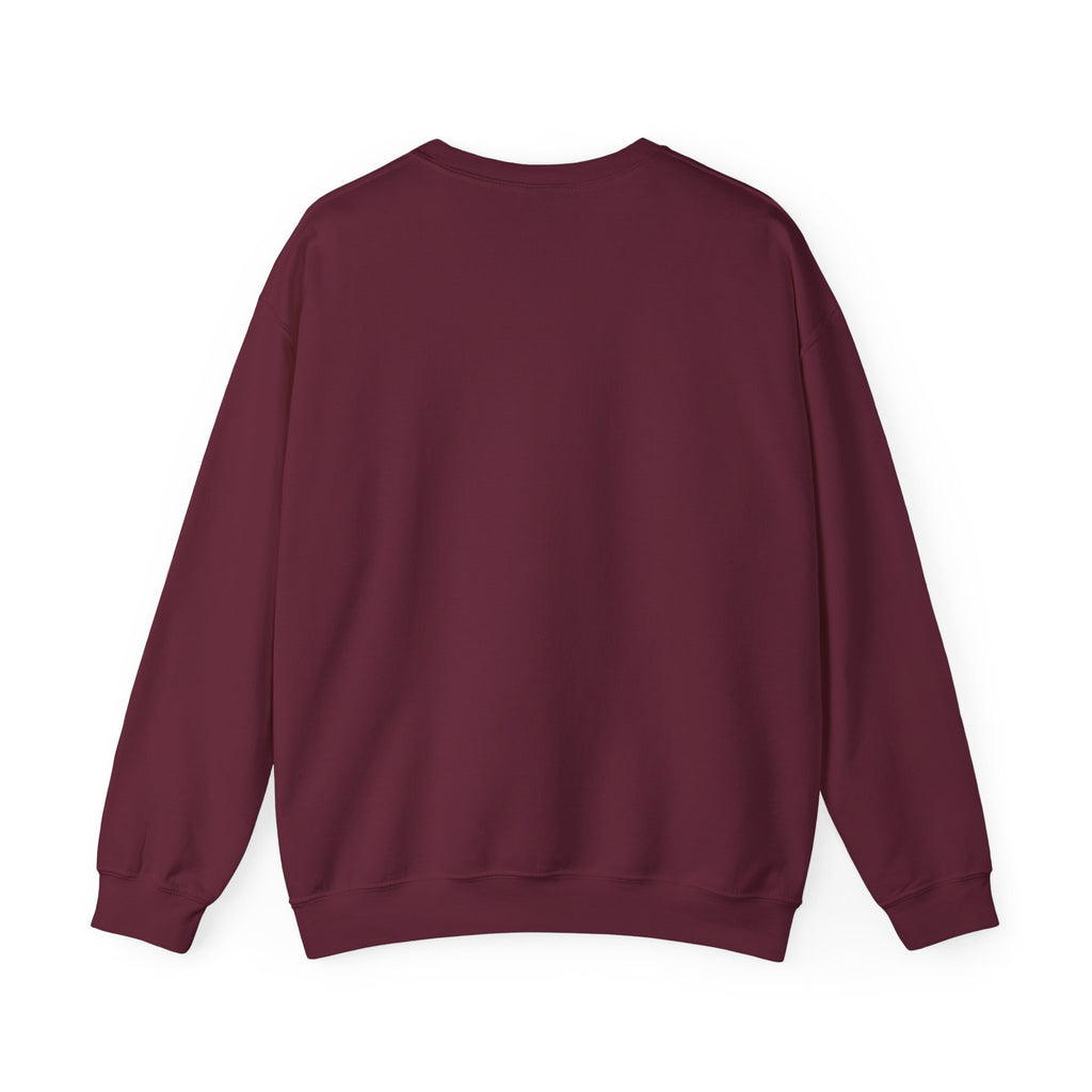 SABAS-Sports Car Sweatshirt — Vintage Racing Graphic Crewneck