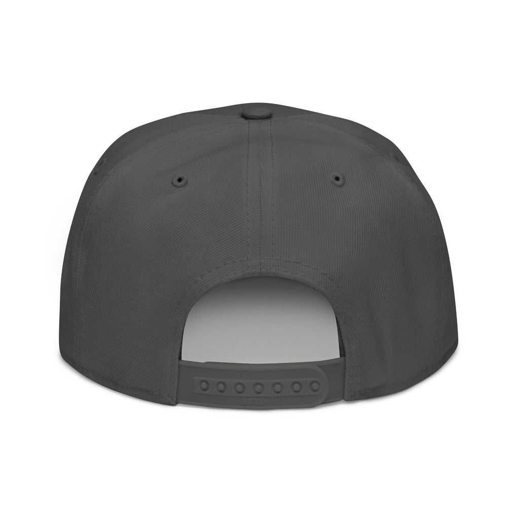SABAS Embroidered Snapback Hat - Aquarius Zodiac Sign