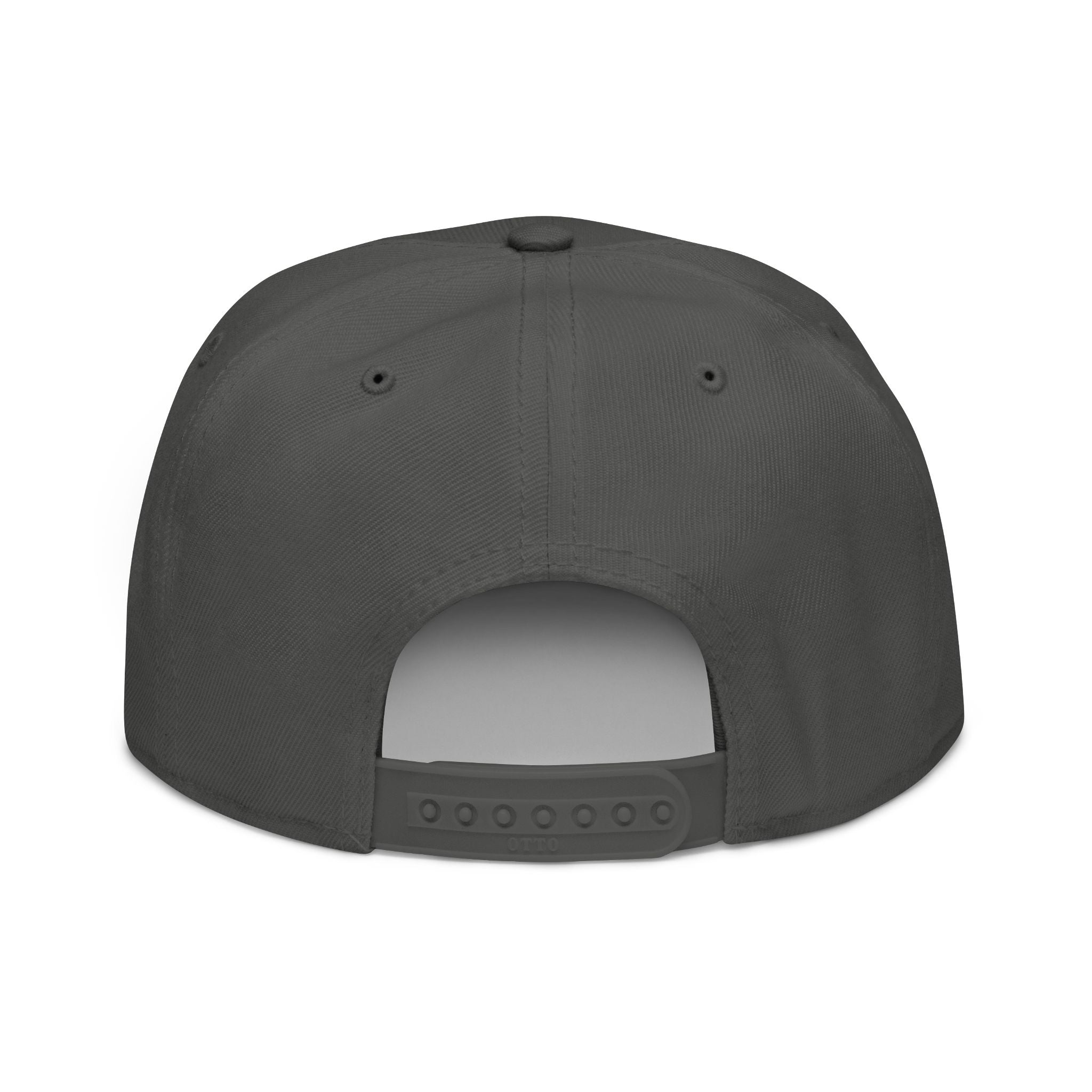 SABAS Embroidered Snapback Hat - Aquarius Zodiac Sign