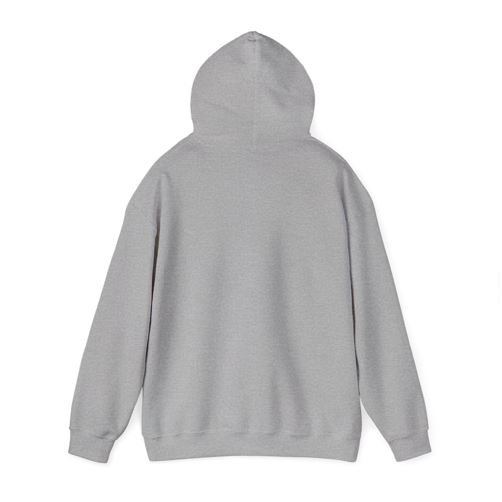 Speed Racers Hoodie — Vintage Sports Car Racing Graphic Sweatshirt