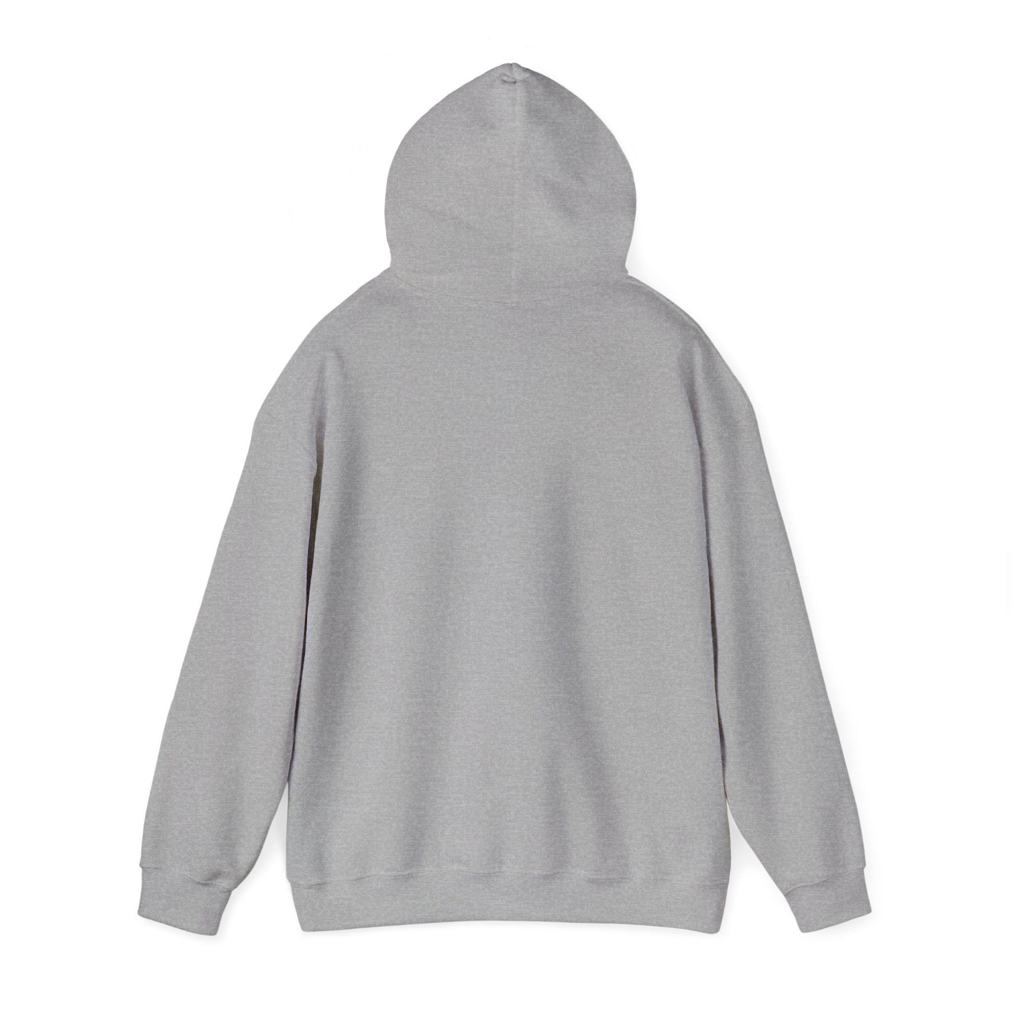Speed Racers Hoodie — Vintage Sports Car Racing Graphic Sweatshirt