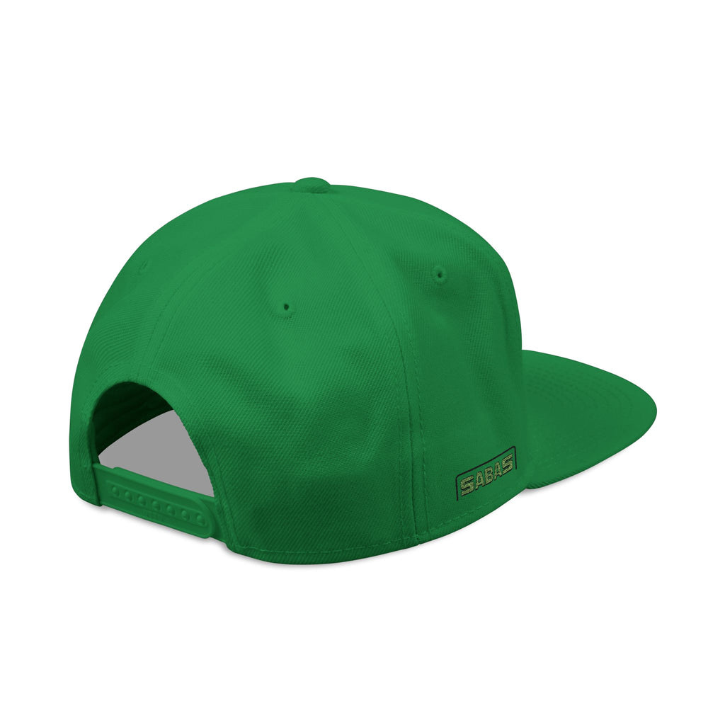 SABAS Embroidered Snapback Hat - Aquarius Zodiac Sign