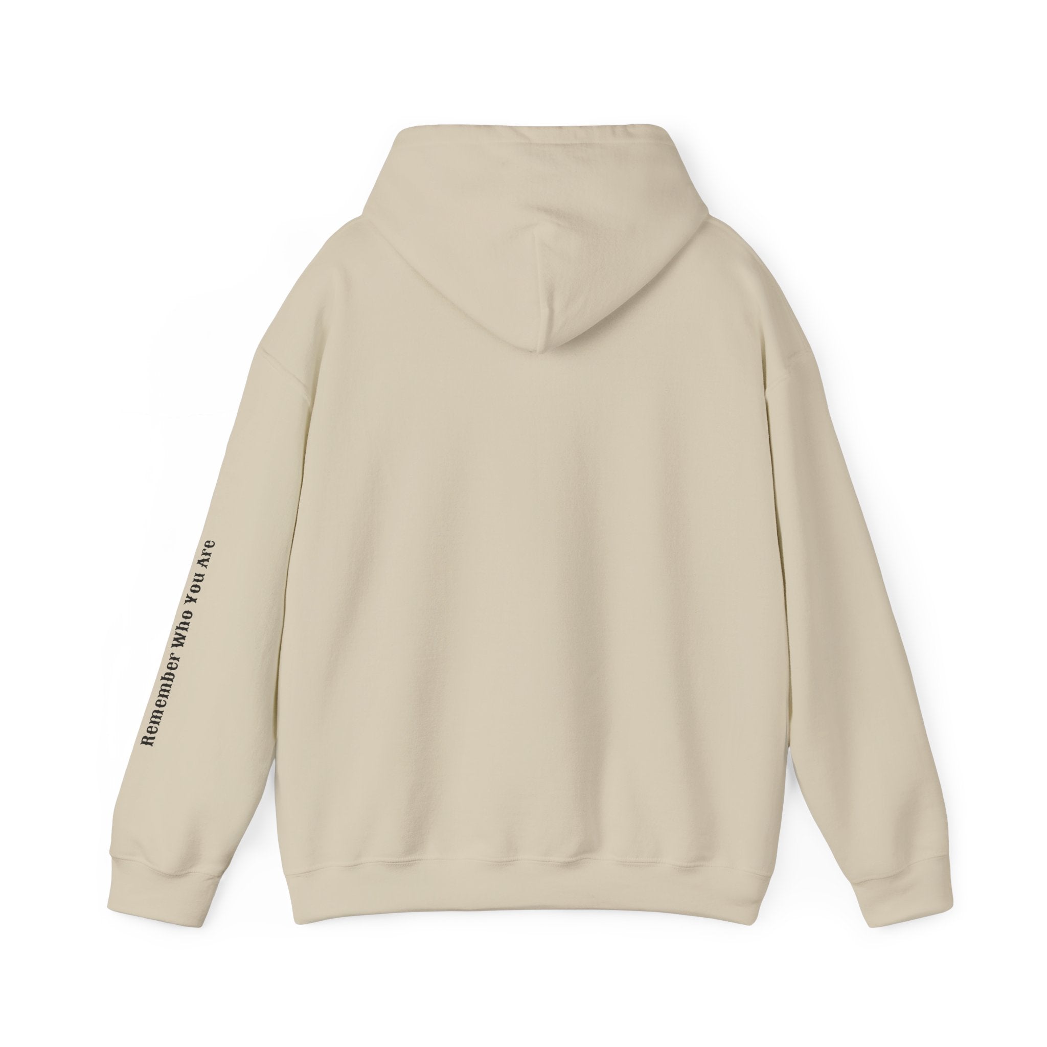 SABAS Aquarius Hoodie — Zodiac Graphic Hooded Sweatshirt Unisex