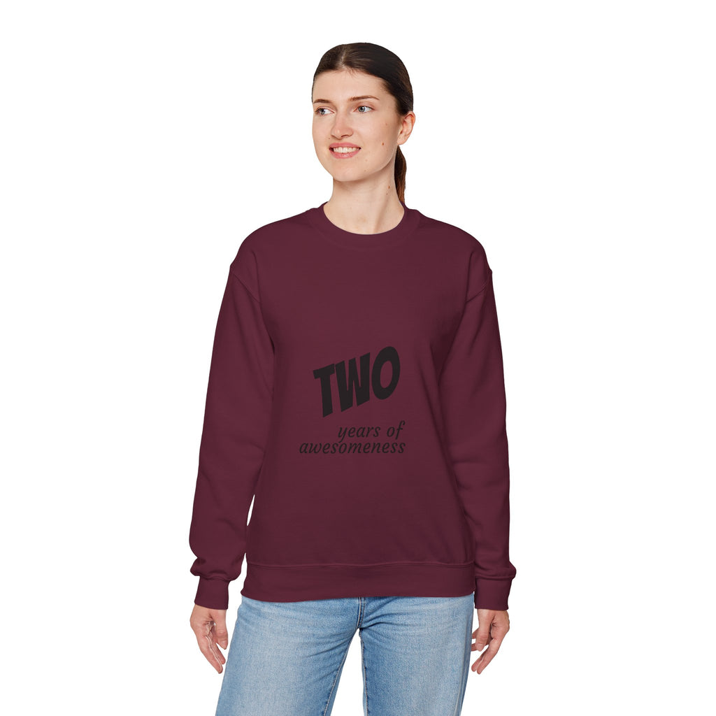 SABAS-Toddler Two Years of Awesomeness Sweatshirt