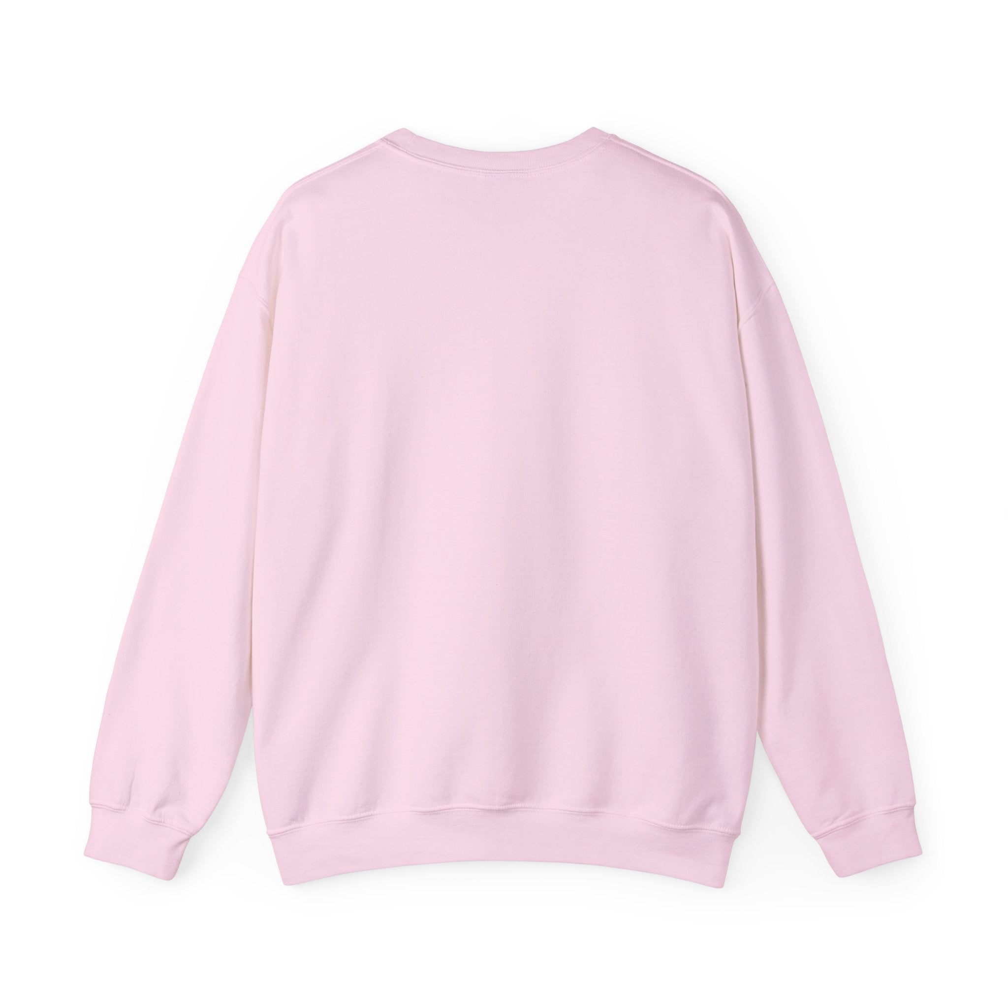 SABAS-Toddler Two Years of Awesomeness Sweatshirt