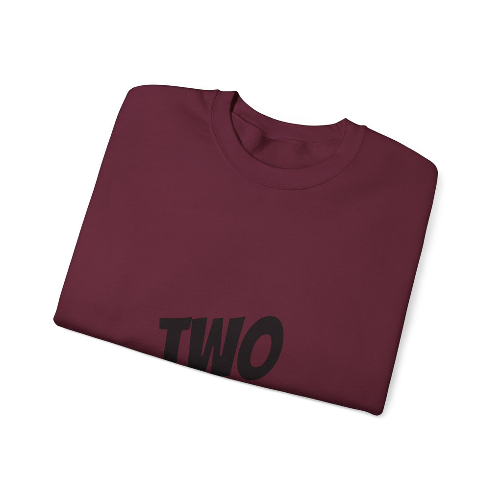 SABAS-Toddler Two Years of Awesomeness Sweatshirt