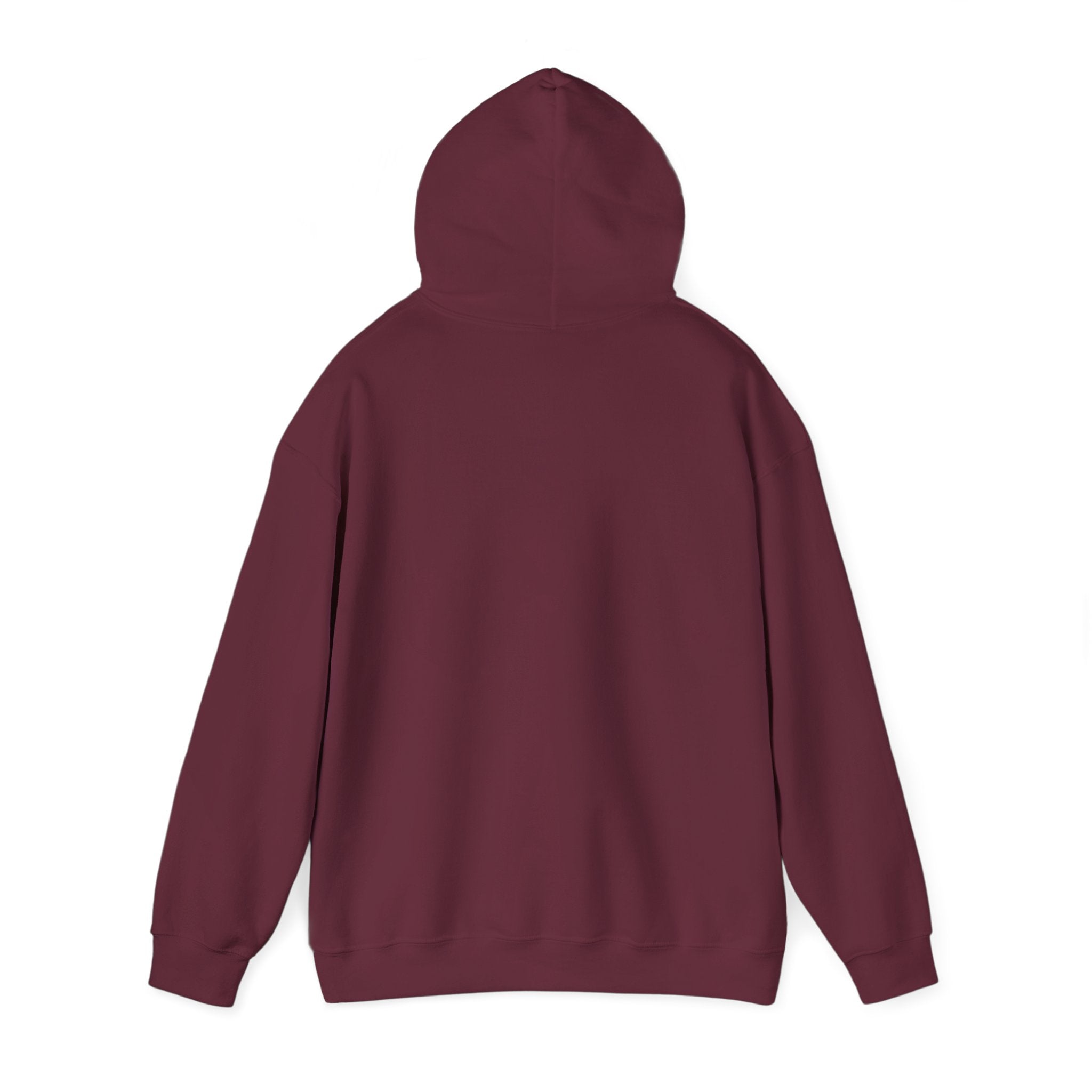 Speed Racers Hoodie — Vintage Sports Car Racing Graphic Sweatshirt