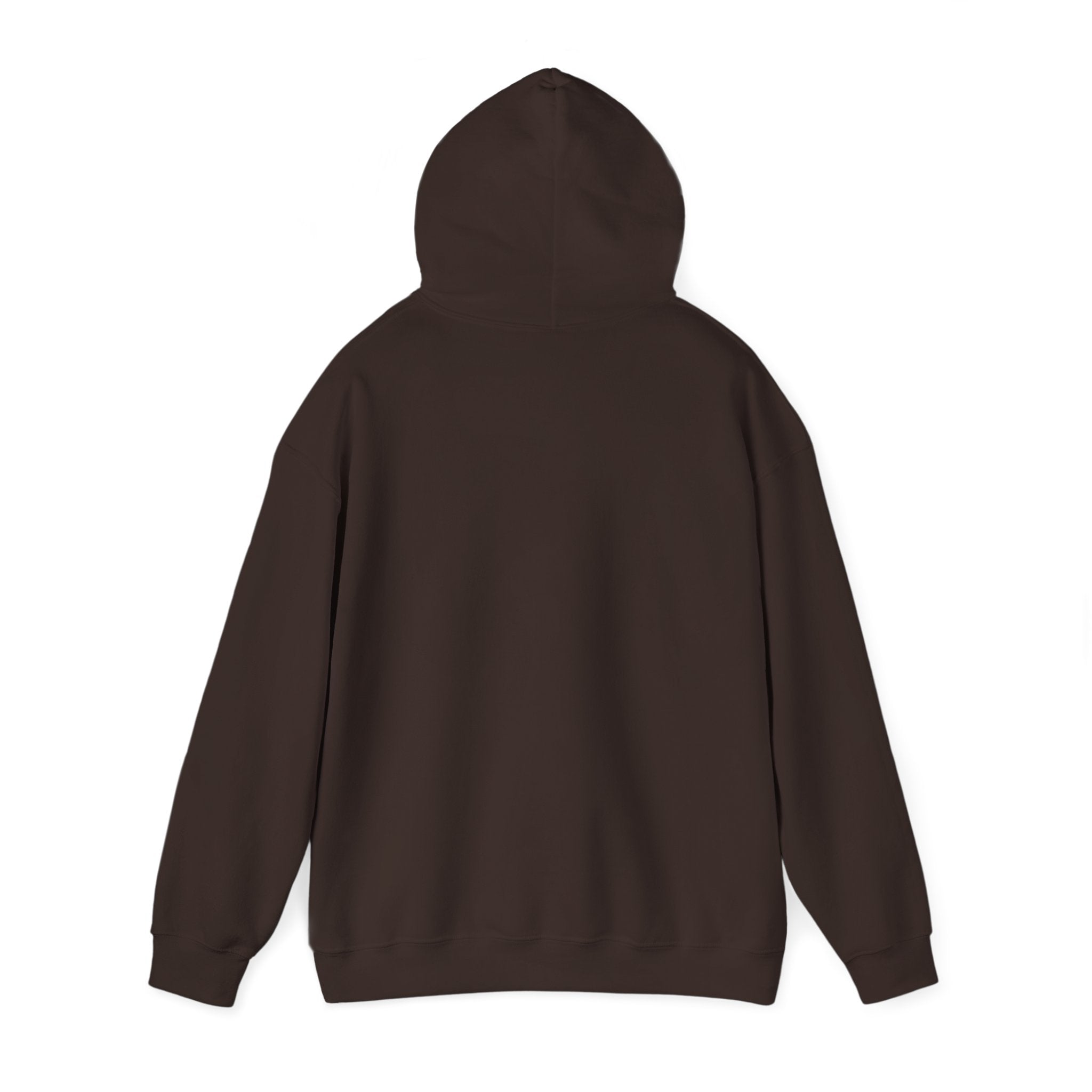 Speed Racers Hoodie — Vintage Sports Car Racing Graphic Sweatshirt
