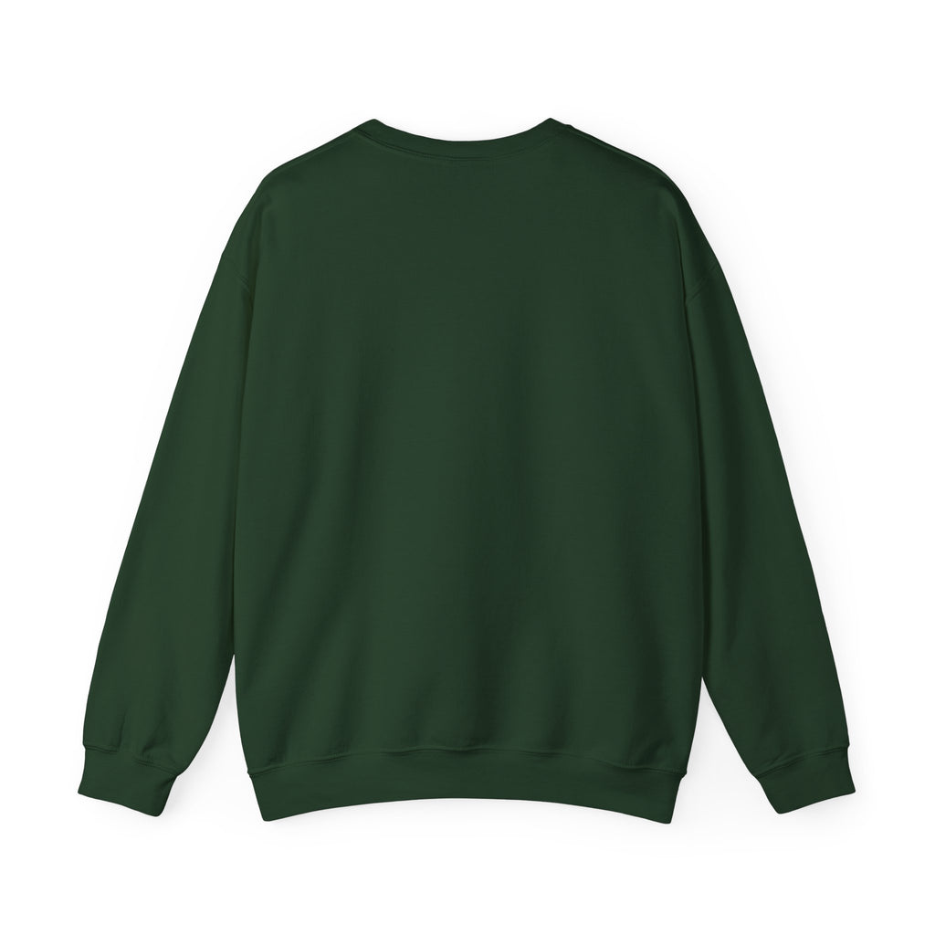 SABAS-Toddler Two Years of Awesomeness Sweatshirt