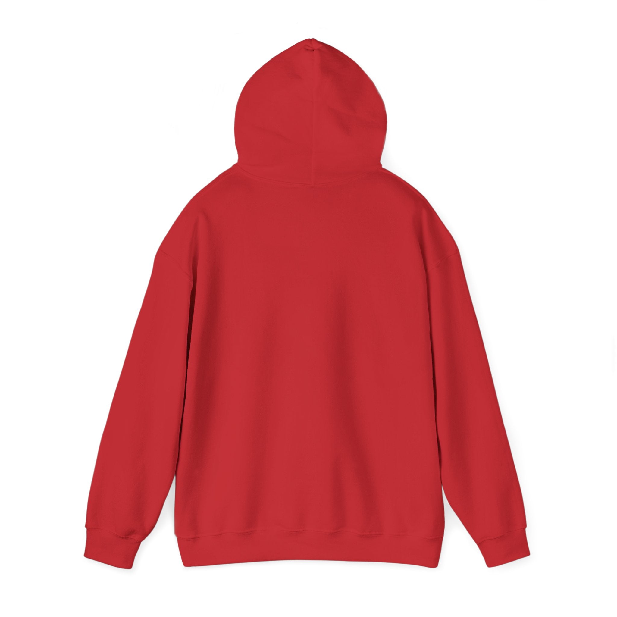 Speed Racers Hoodie — Vintage Sports Car Racing Graphic Sweatshirt