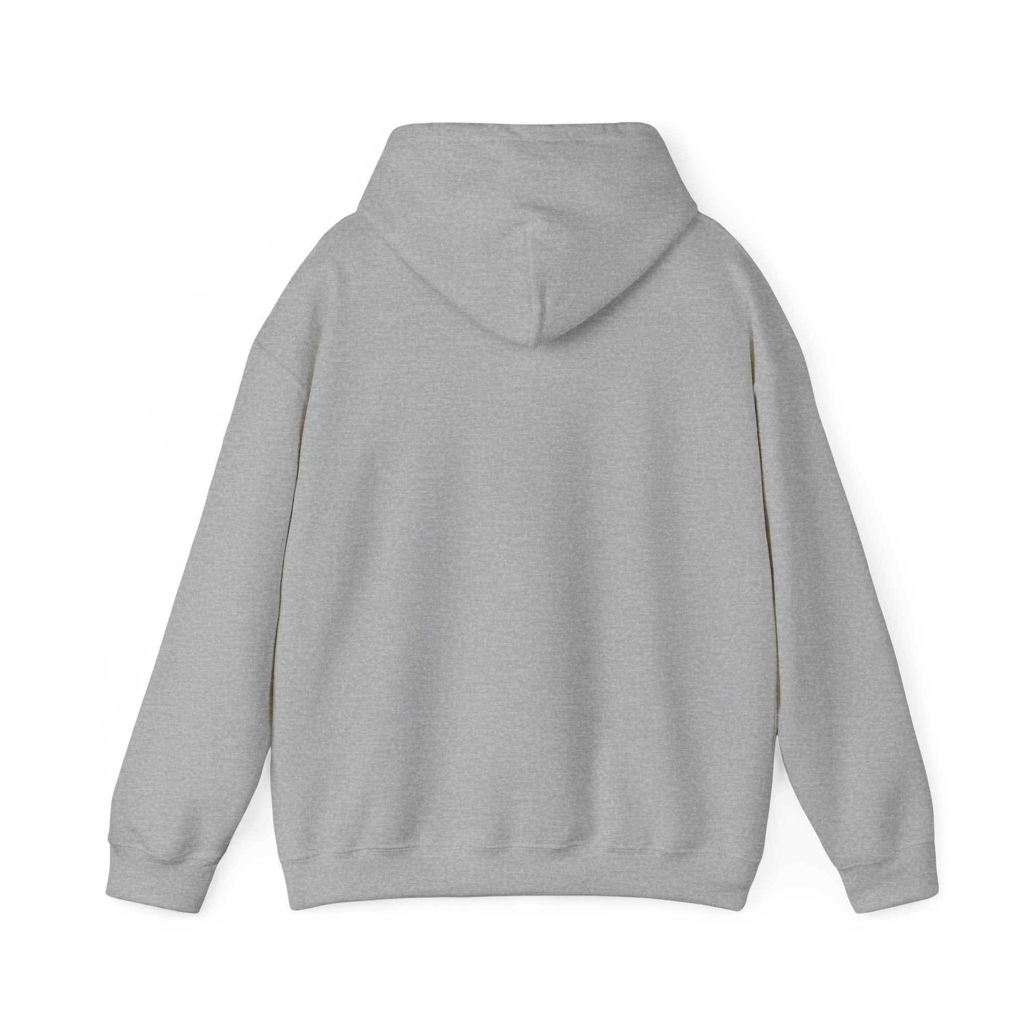 Speed Racers Hoodie — Vintage Sports Car Racing Graphic Sweatshirt