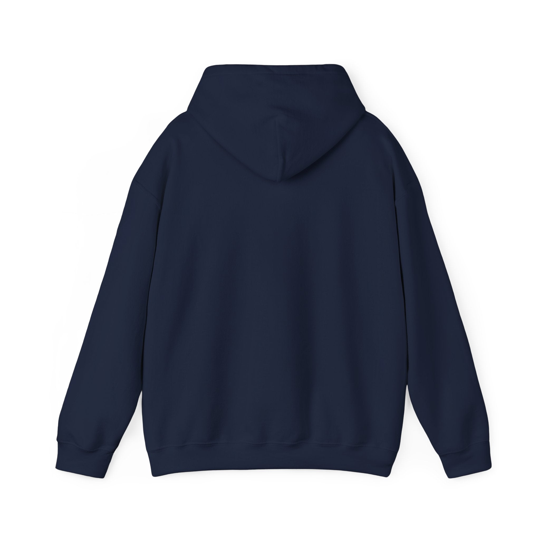 SABAS Remember Who You Are Hoodie — Inspirational Courage Graphic Sweatshirt