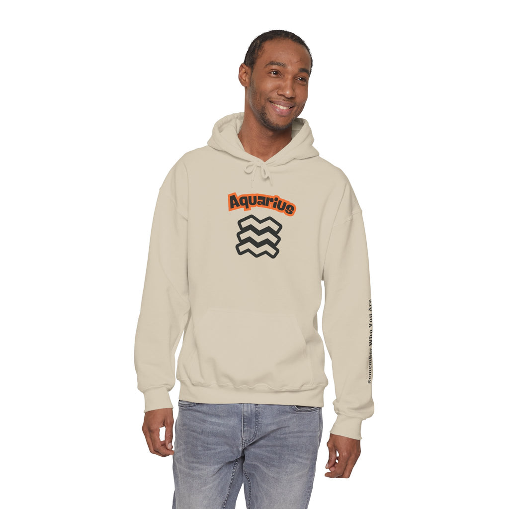 SABAS Aquarius Hoodie — Zodiac Graphic Hooded Sweatshirt Unisex