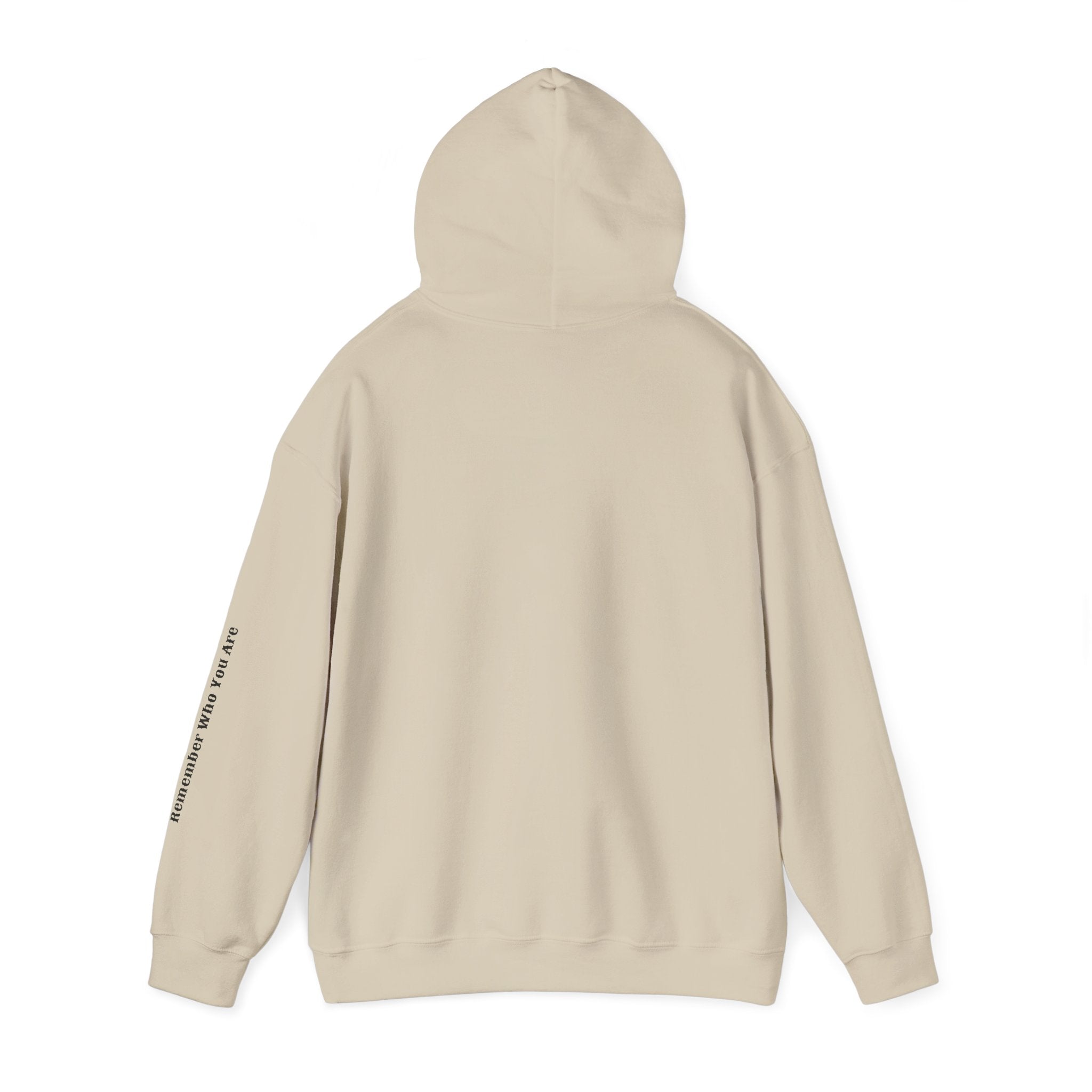 SABAS Aquarius Hoodie — Zodiac Graphic Hooded Sweatshirt Unisex